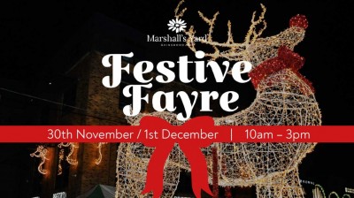 Festive Fayre 30th November & 1st December