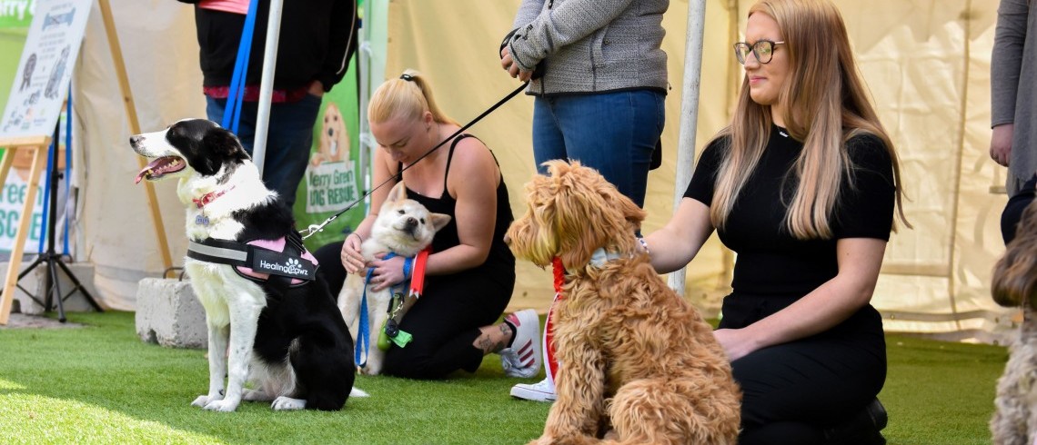 Popular Barket Dog Market due to be hosted at Marshalls Yard with Crufts-style competition 