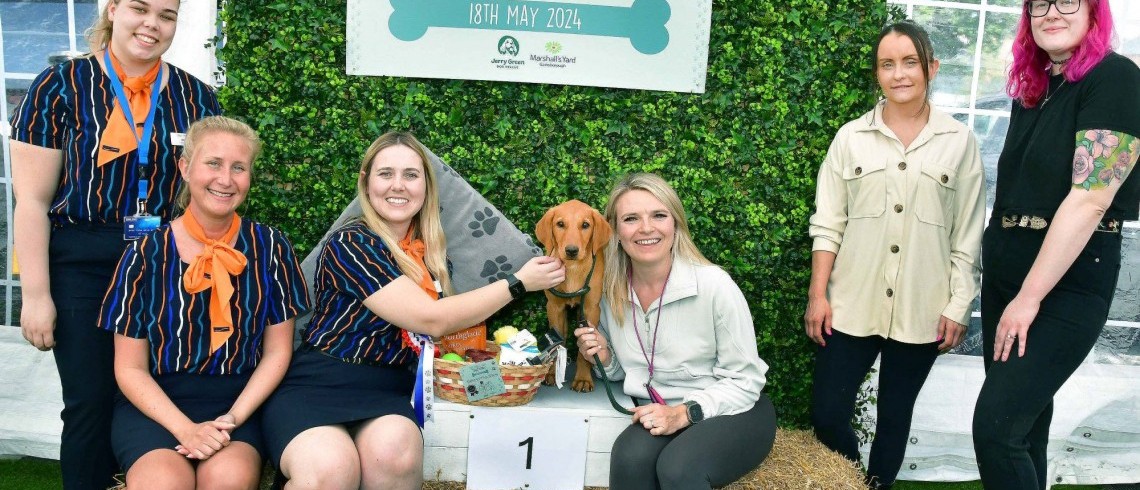 Willow the Labrador impresses judges and takes first place at Barket Dog Market 